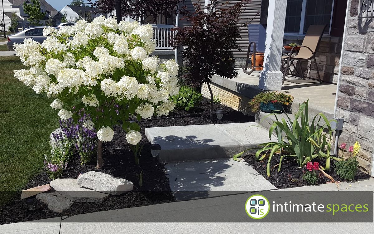 Outdoor Project: Patio, cedar deck, arbor. landscape